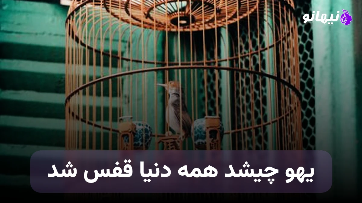 دانلود آهنگ یهو چیشد همه دنیا قفس شد خبر غصه هامون دست به دست شد صدای زن